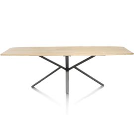 Home eettafel 250x110 cm